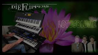 Lotusblume  Die Flippers cover [upl. by Yatnoj]