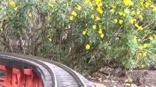 Cab Ride on the Teesdale Garden Railway [upl. by Jeavons]