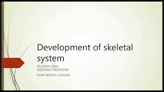 Development of Skeletal System  Embryology [upl. by Enitsej]