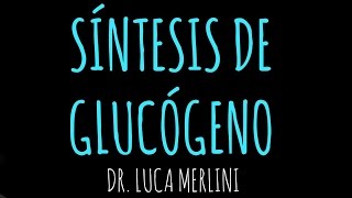 Síntesis de Glucógeno [upl. by Hung]