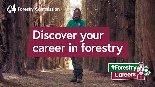 Discover your career in forestry [upl. by Polash]