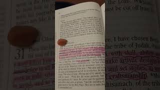 KJV vs NIV Exodus 3135 [upl. by Nujra]