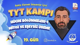 Mitoz ve Eşeysiz Üreme  30 Günde TYT Biyoloji Kampı 19Gün  2025 [upl. by Leiba]