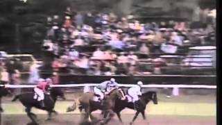 91 Velká pardubická steeplechase  1981 [upl. by Lucie365]