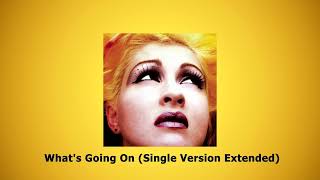 Cyndi Lauper  Whats Going On Single Version Extended [upl. by Mcallister]