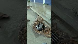 Cleaning Culvert Drain Rain Water unclog remove drain rainwater shorts [upl. by Gaylord848]