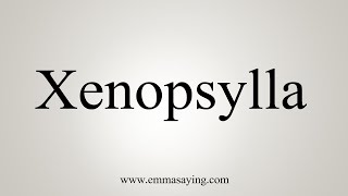 How To Say Xenopsylla [upl. by Asik954]