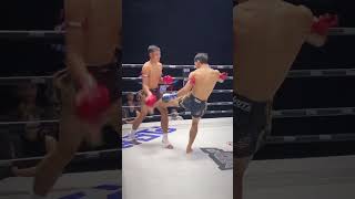 One championship mma muaythai subscribe ufc shorts short [upl. by Palocz851]