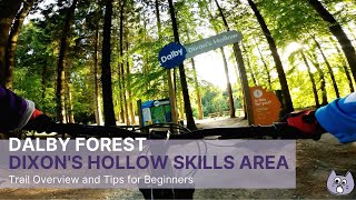 Dalby Forest Dixons Hollow MTB Upper Skills Area For Beginners [upl. by Meldon710]