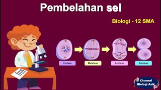 Pembelahan sel  Biologi kelas 12 SMA [upl. by Ettenuj508]