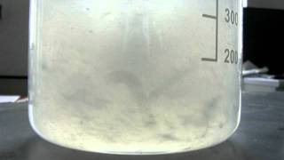 Water adding to anhydrous silica gel wwwzeolitecompl [upl. by Amoritta]