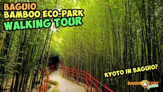 BAGUIO CITY Bamboo Eco Park  Baguio City Tourist Spot Walking Tour KYOTO IN BAGUIO [upl. by Malloy687]