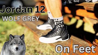 Jordan 12 Wolf Grey OnFeet  Fit to Match Style amp Comfort [upl. by Cheria]