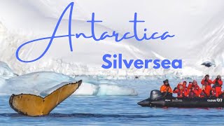 Luxury Antarctica Cruise by Silversea Expedition Guides [upl. by Waterman]