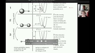 Photoinduced Electron Transfer  The Classical Marcus Theory René M Williams UvA [upl. by Trout554]