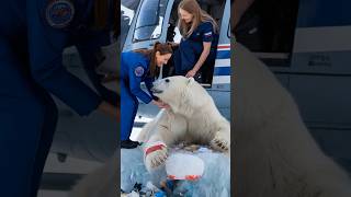 Volunteers heroically saved a polar bear trapped in a deadly net giving it a second chanceanimals [upl. by Epuladaugairam]