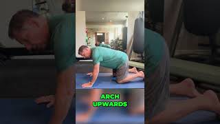 Cat Camel Stretch for Back Pain Disc Bulges and Spinal Mobility  Dr John Zielonka [upl. by Khorma]