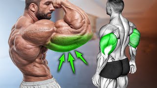 Build Big Triceps Grow Fast 5 Effective Exercises [upl. by Jules427]