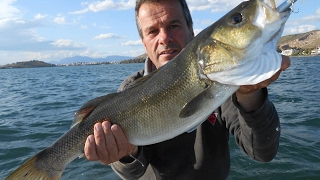 ΛΑΒΡΑΚΙΑ ΣΤΗΝ ΧΑΛΚΙΔΑ ΨΑΡΕΜΑ SPINNING Sunny day beautiful Pesca spinning fishing for bass [upl. by Marji]