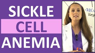 Sickle Cell Anemia Nursing  Symptoms Pathophysiology Sickle Cell Crisis amp Trait [upl. by Sudhir962]