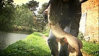 Stalking canal carp ended up with a pike  chrisnsamfishing [upl. by Survance]