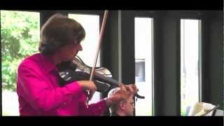 Carbon fiber violin M Moszkowski Spanish Dance No 2 for Violin and Piano [upl. by Gies]