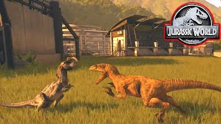 VELOCIRAPTOR VS DILOPHOSAURUS Jurassic World Evolution Gráficos Ultra [upl. by Aicilana]