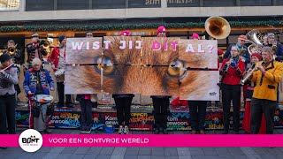 Zo maakten we Fur Free Friday 2024 onvergetelijk [upl. by Abraham]