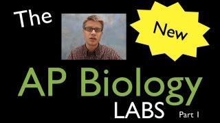 AP Biology Labs  part 1 [upl. by Eb]