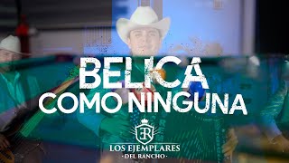 Bélica Como Ninguna  Los Ejemplares Del Rancho [upl. by Alleacim]