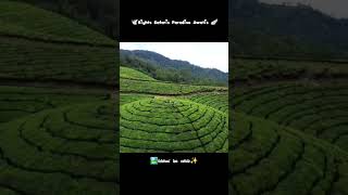 Idhuvarai nenjil irukumSila thunbangalai naam marapom song whtsapp statusmunnardays reels travel [upl. by Trevorr]