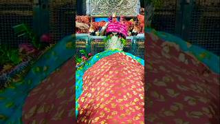 Allah ke 3 Naam ki Barkate mira datar dargah Sharif [upl. by Selrhc343]