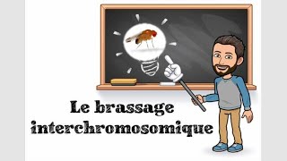 LE BRASSAGE INTERCHROMOSOMIQUE  1 TSPÉ SVT [upl. by Esilrahc205]