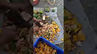 pumpkins and papayas skye joerogan trump food pig [upl. by Arita664]