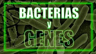 Hablemos sobre BACTERIAS y GENES [upl. by Nawotna314]