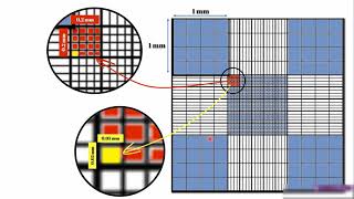 Using Hemocytometer and virtual LAbs عد الخلايا باستخدام الهيموسيتومتر و المعامل الافتراضية [upl. by Naiditch]