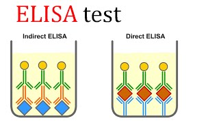 ELISA test [upl. by Yarod]