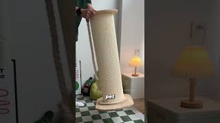 The Natural Fiber Behind Cat Scratching Posts sisal [upl. by Deehsar]