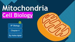 Mitochondria Class 9 [upl. by Benedetta]