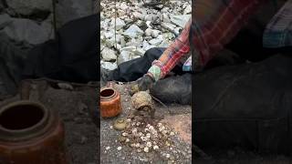 We found a treasure of immeasurable value trapped inside the castle wall 😱  metaldetecting shorts [upl. by Mines]