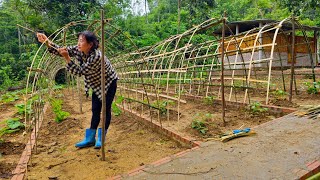 How to make a beautiful vegetable trellis from bamboo  farm construction  Ban Thi Diet [upl. by Nevear710]