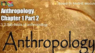 Anthropology Chapter 1  Part 2   Subfields of anthropology [upl. by Nolrev]