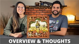 Agricola 15th Anniversary Big Box  Overview amp Thoughts [upl. by Abijah]