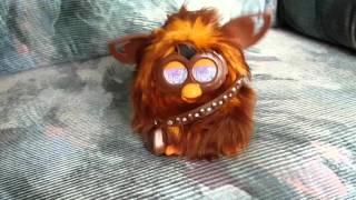 Furbacca sings Star Wars [upl. by Liagabba]