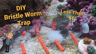 Cheap DIY Bristle Worm Trap for a Saltwater Reef Tank That Actually Works [upl. by Ahseit]