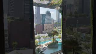 판 퍼시픽 오차드 싱가포르 Pan Pacific Orchard Singapore [upl. by Cherilynn]