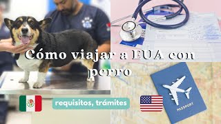 Tramites y requisitos para viajar con tu perro a EUA desde México  Mudando de país Ep 3 [upl. by Selia]