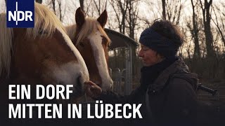 Sozialer Treffpunkt Roter Hahn – ein Dorf in Lübeck  Die Nordreportage  NDR Doku [upl. by Gnoc576]