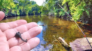 How To Catch Dinner From A Creek Easy To Catch Panfish [upl. by Natsirc]