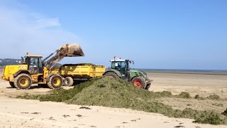 La ramasseuse dalgues vertes en mer [upl. by Aihsital]